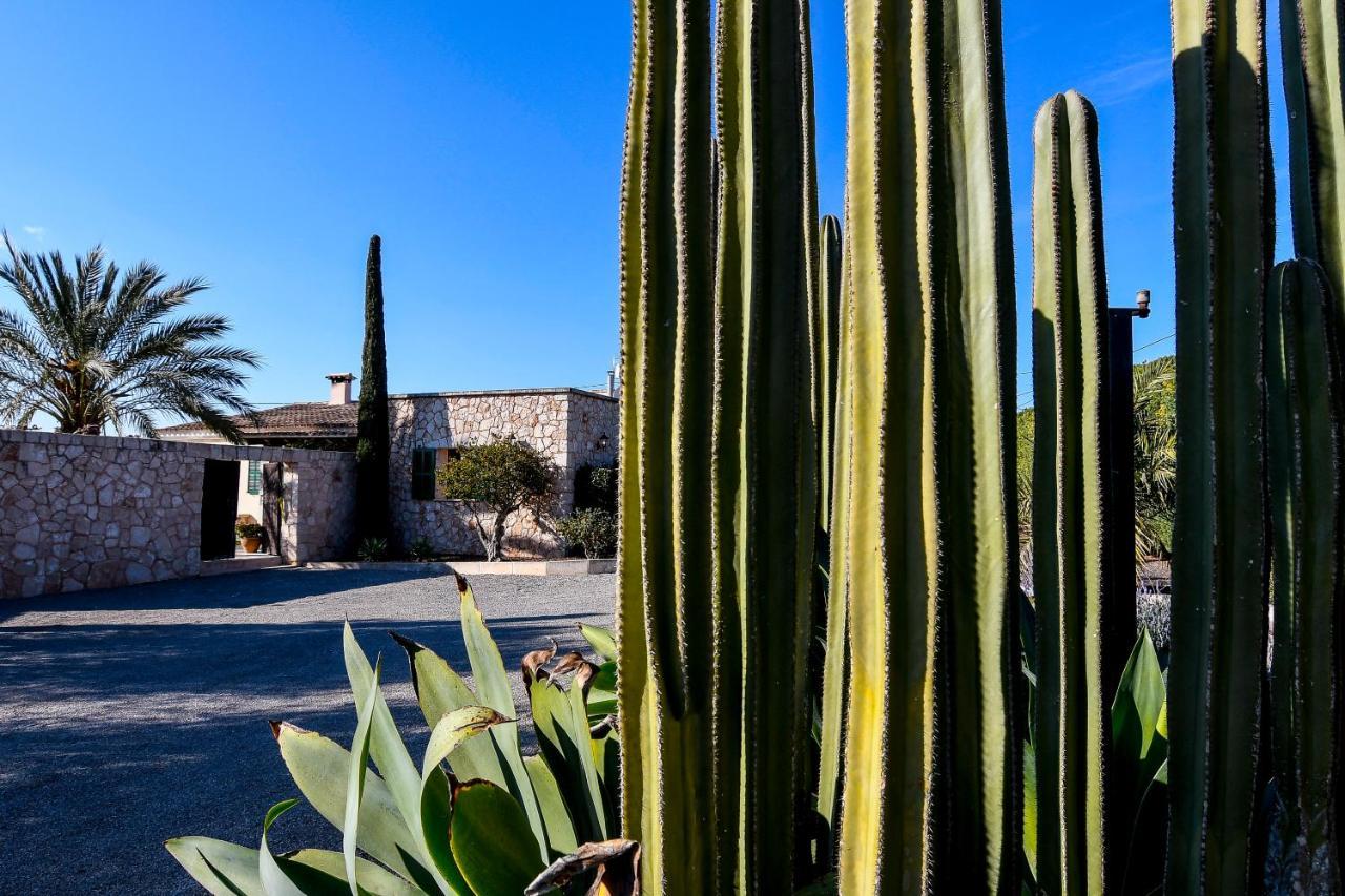 ☆Gehobene Finca - Pool Traumgarten Pizzaofen A/C☆ Porto Cristo Exterior foto